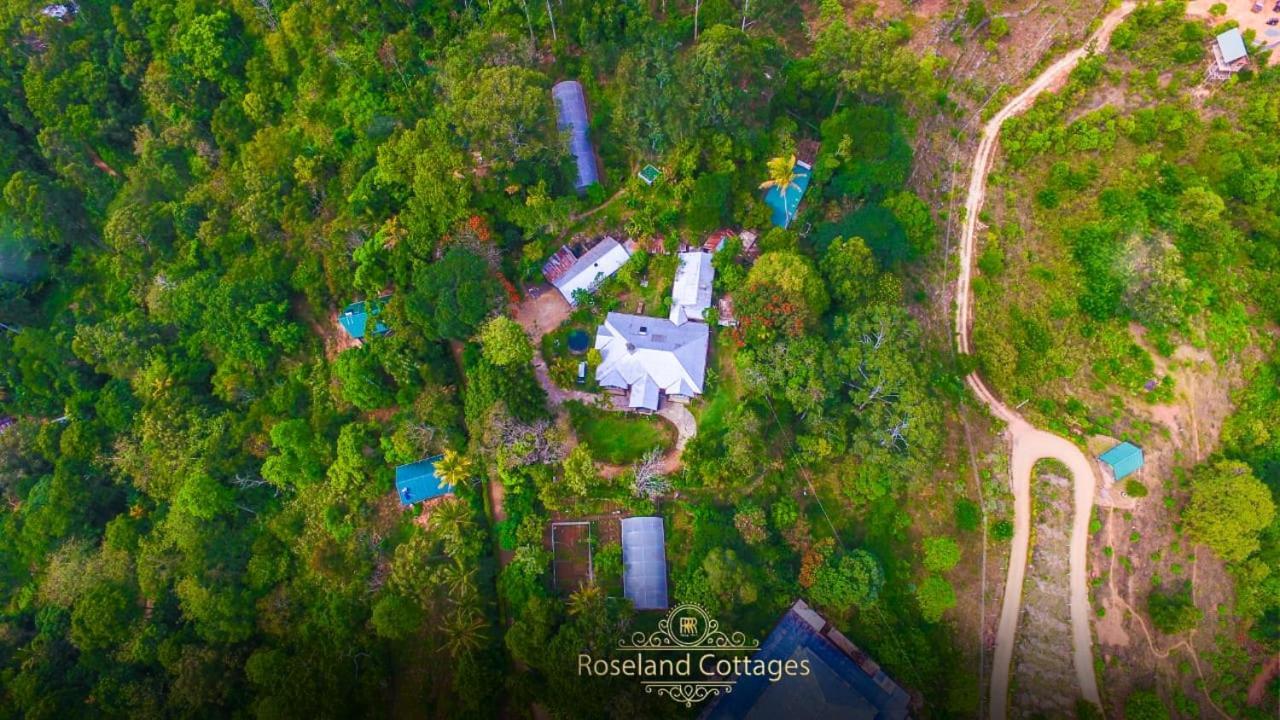 Roseland Cottages Bandarawela Buitenkant foto