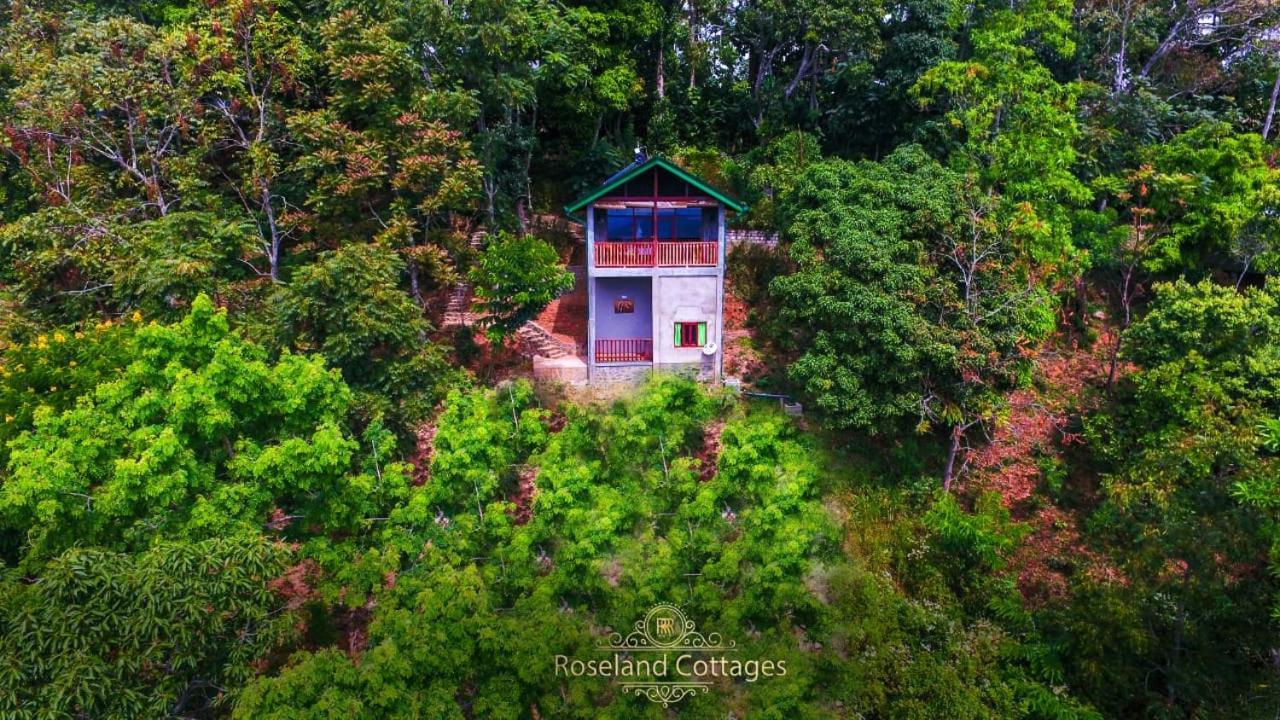 Roseland Cottages Bandarawela Buitenkant foto